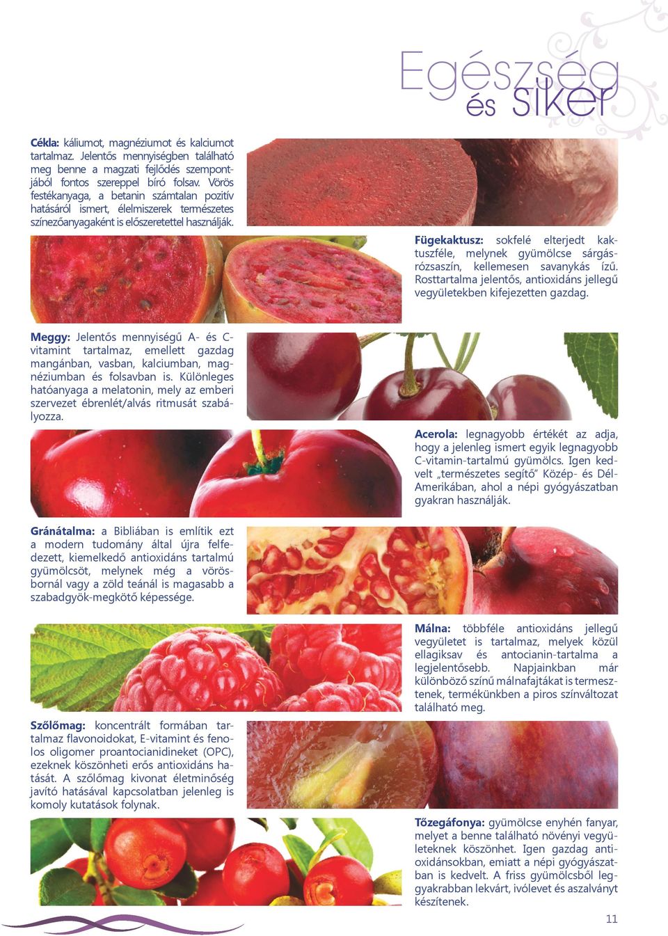 Fügekaktusz: sokfelé elterjedt kaktuszféle, melynek gyümölcse sárgásrózsaszín, kellemesen savanykás ízű. Rosttartalma jelentős, antioxidáns jellegű vegyületekben kifejezetten gazdag.
