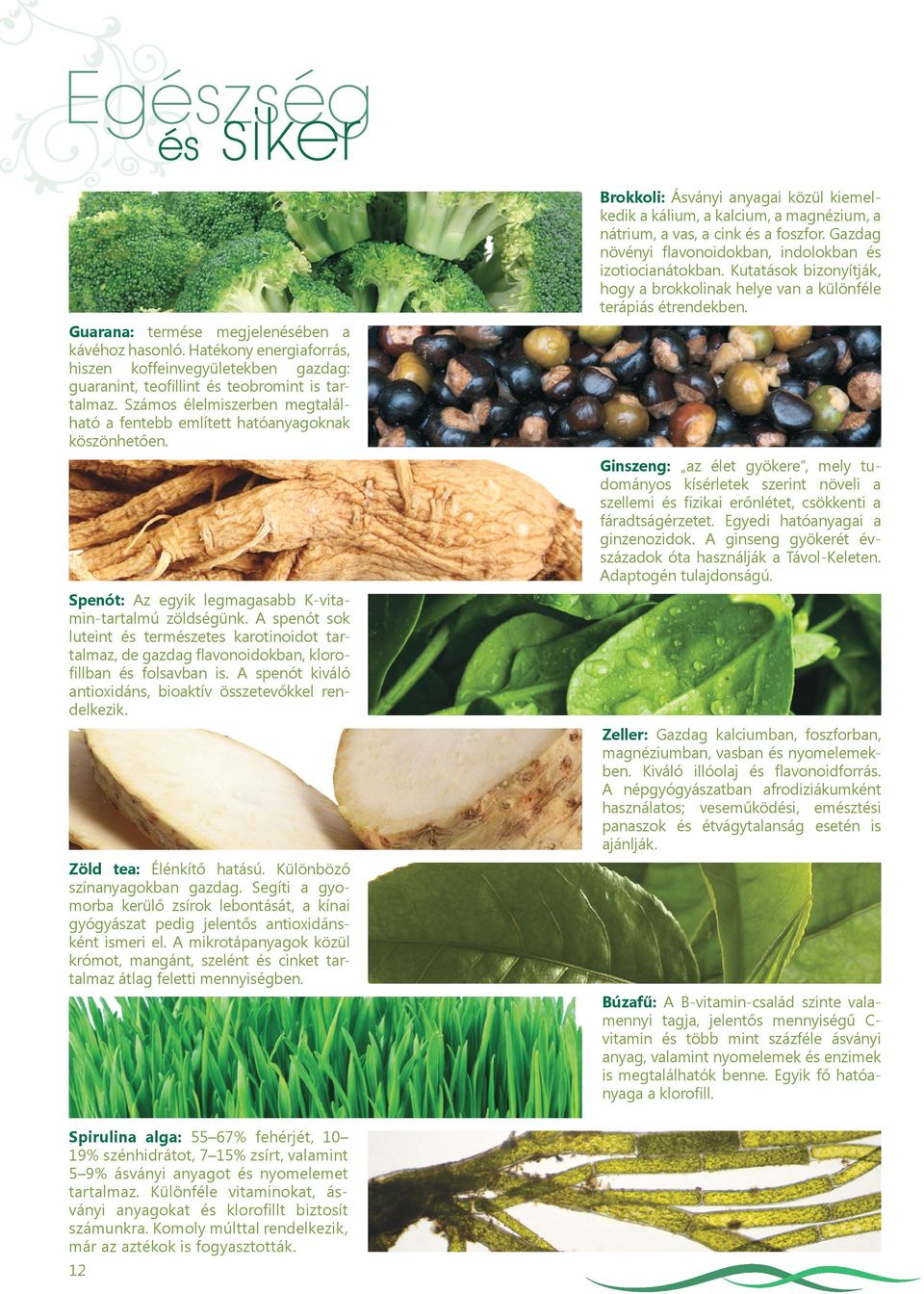 A spenót sok luteint és természetes karotinoidot tartalmaz, de gazdag flavonoidokban, klorofillban és folsavban is. A spenót kiváló antioxidáns, bioaktív összetevőkkel rendelkezik.