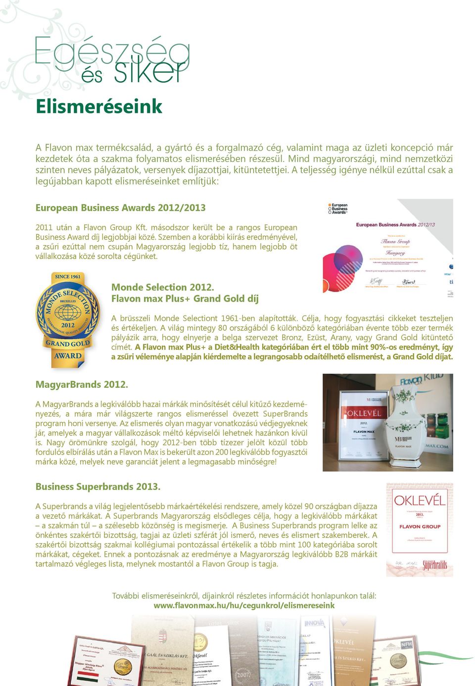 A teljesség igénye nélkül ezúttal csak a legújabban kapott elismeréseinket említjük: European Business Awards 2012/2013 2011 után a Flavon Group Kft.