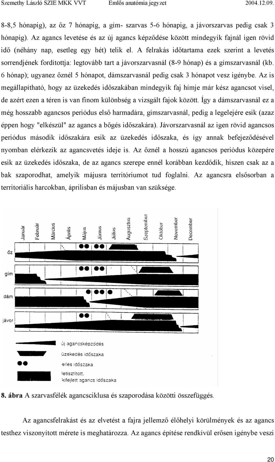 A felrakás időtartama ezek szerint a levetés sorrendjének fordítottja: legtovább tart a jávorszarvasnál (8-9 hónap) és a gímszarvasnál (kb.