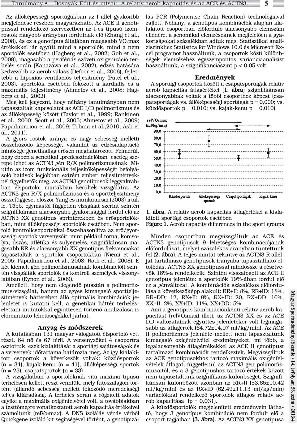 , 2008), és ez a genotípus általában magasabb VO2max értékekkel jár együtt mind a sportolók, mind a nem sportolók esetében (Hagberg et al., 2002; Goh et al.
