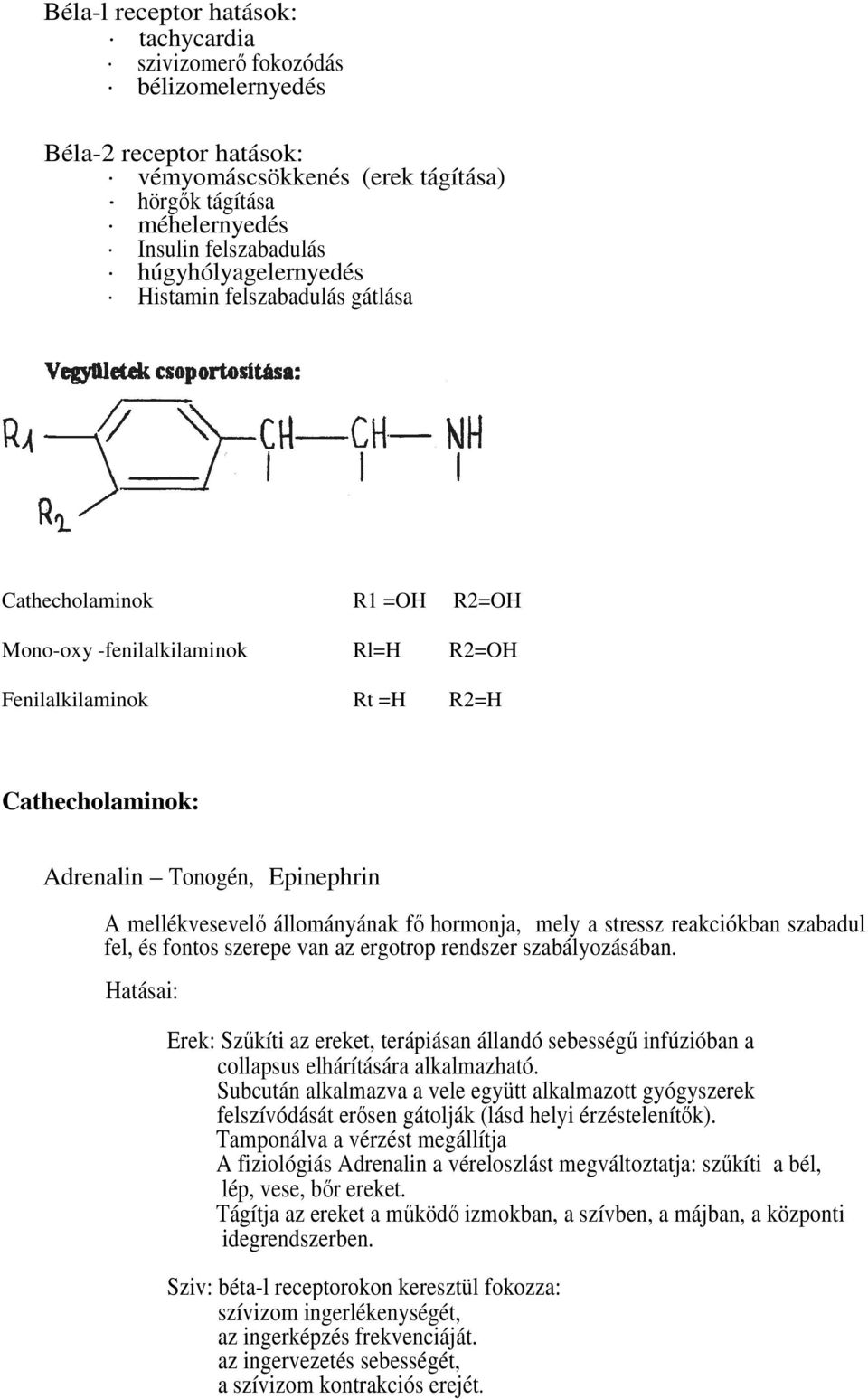 mellékvesevelő állományának fő hormonja, mely a stressz reakciókban szabadul fel, és fontos szerepe van az ergotrop rendszer szabályozásában.