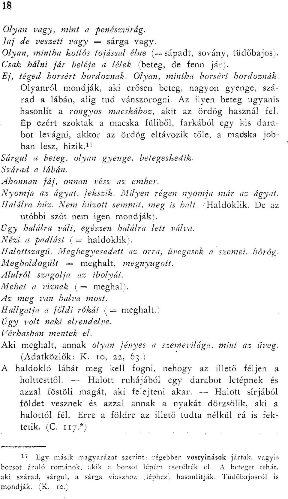 Az ilyen beteg ugyanis hasonlít a rongyos macskához, akit az ördög használ fel.