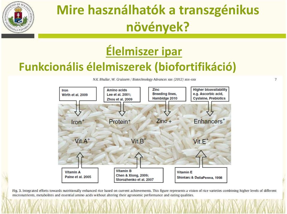(biofortifikáció) - vitamin - ehető rost -
