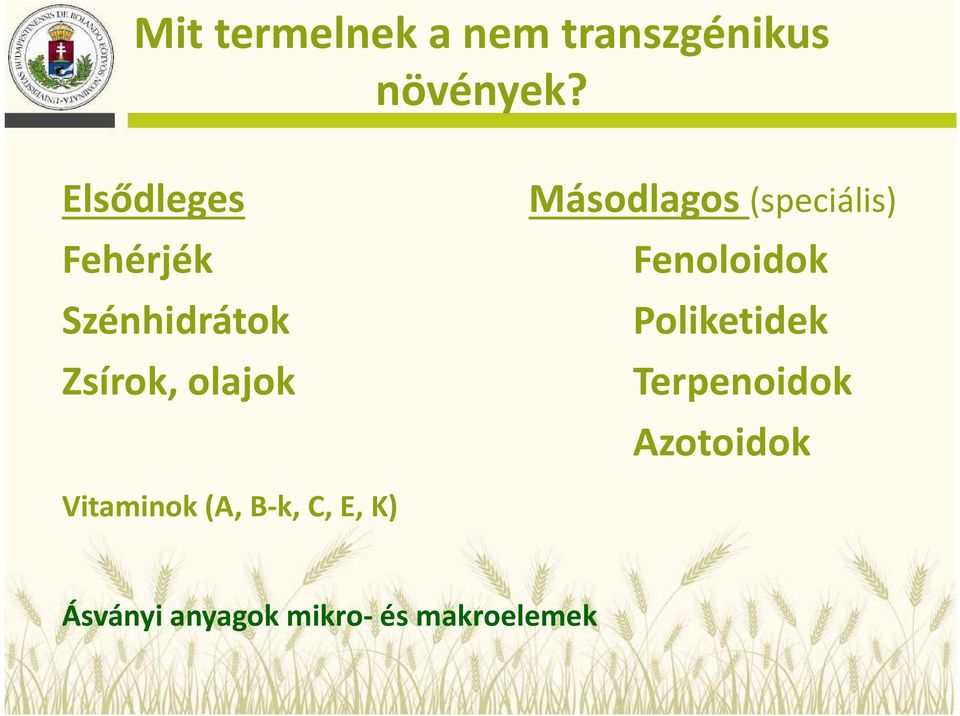 Másodlagos (speciális) Fenoloidok Poliketidek