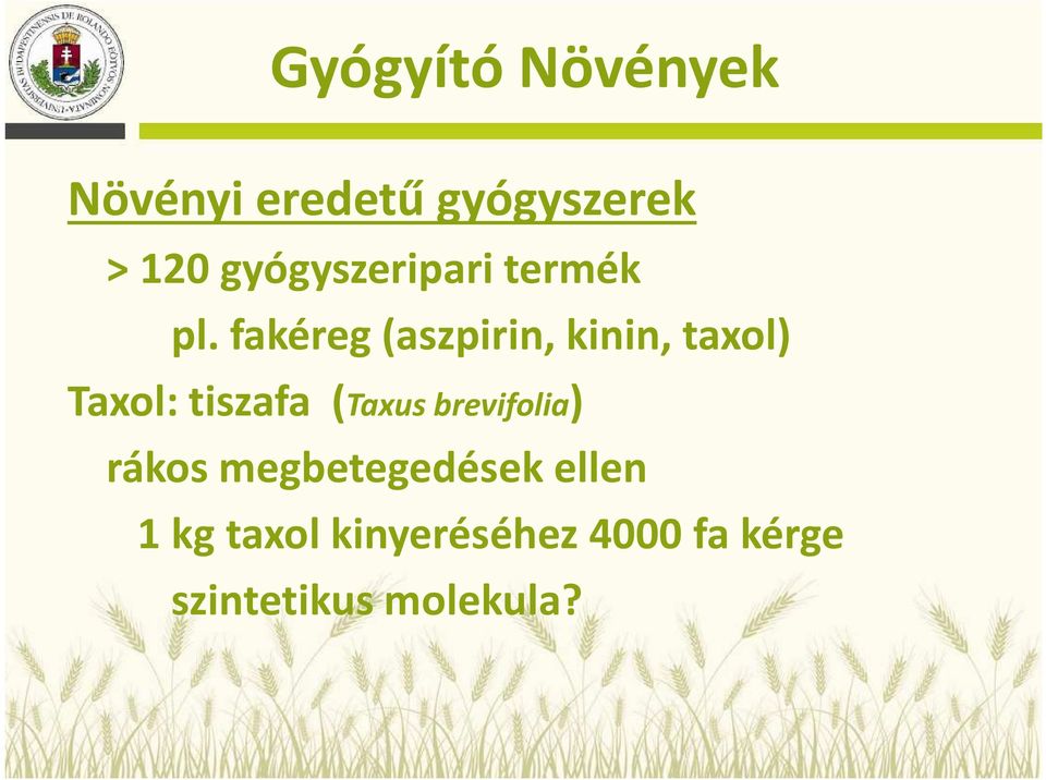 fakéreg (aszpirin, kinin, taxol) Taxol: tiszafa (Taxus