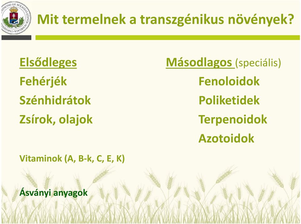 Másodlagos (speciális) Fenoloidok Poliketidek