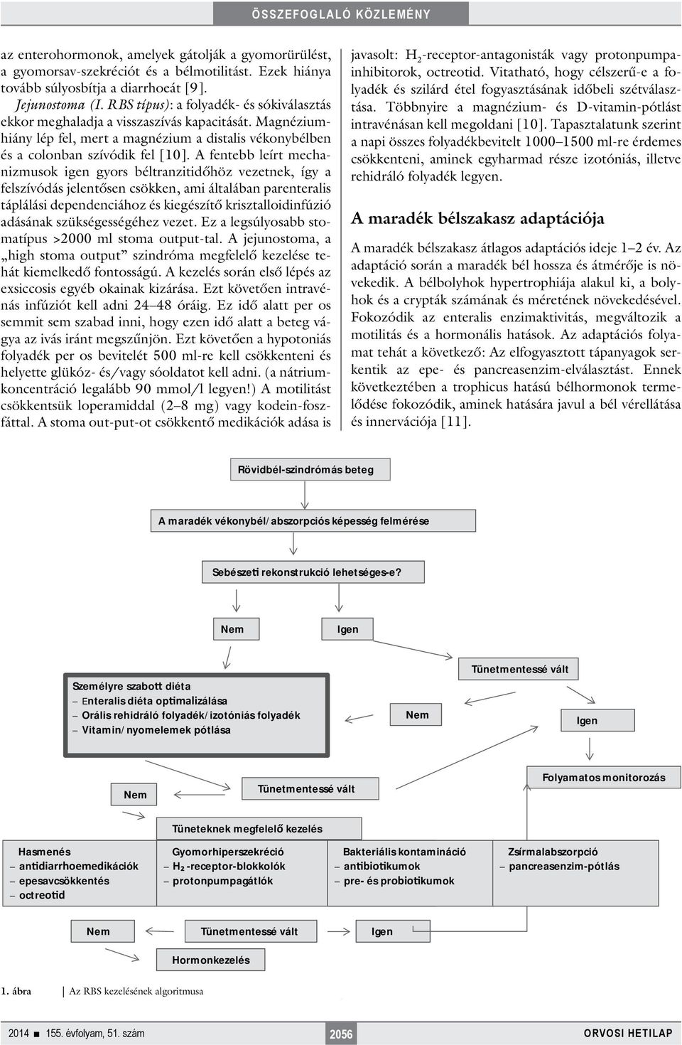 A fentebb leírt mechanizmusok igen gyors béltranzitidőhöz vezetnek, így a felszívódás jelentősen csökken, ami általában parenteralis táplálási dependenciához és kiegészítő krisztalloidinfúzió