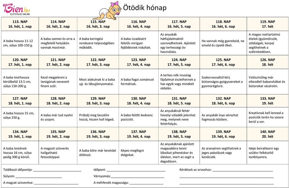 A baba izzadásért felelős mirigyei fejlődésnek indultak. Az anyukák hátfajdalmaktól szenvedhetnek. Ajánlott egy terhességi öv használata. Ha vannak még gyerekeid, ne emeld és cipeld őket.