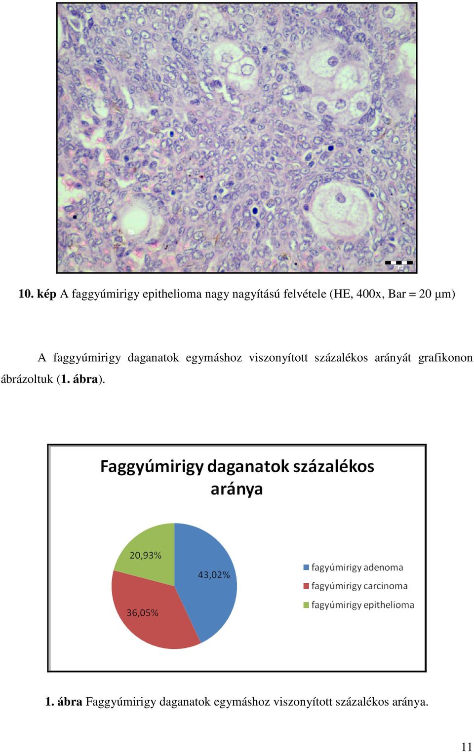 viszonyított százalékos arányát grafikonon ábrázoltuk (1. ábra).