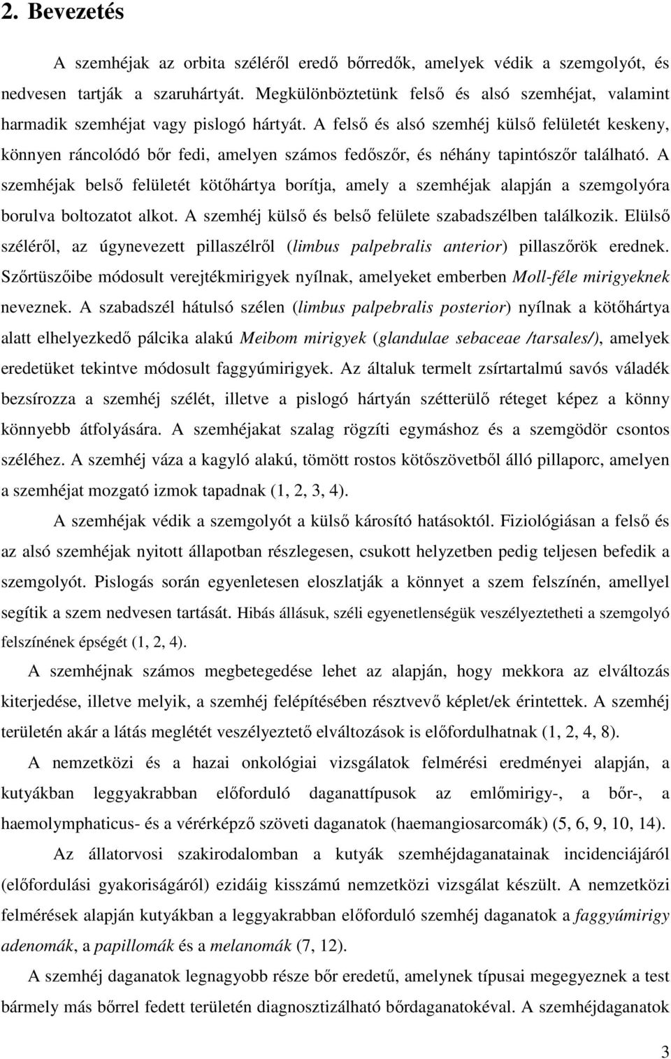A felső és alsó szemhéj külső felületét keskeny, könnyen ráncolódó bőr fedi, amelyen számos fedőszőr, és néhány tapintószőr található.
