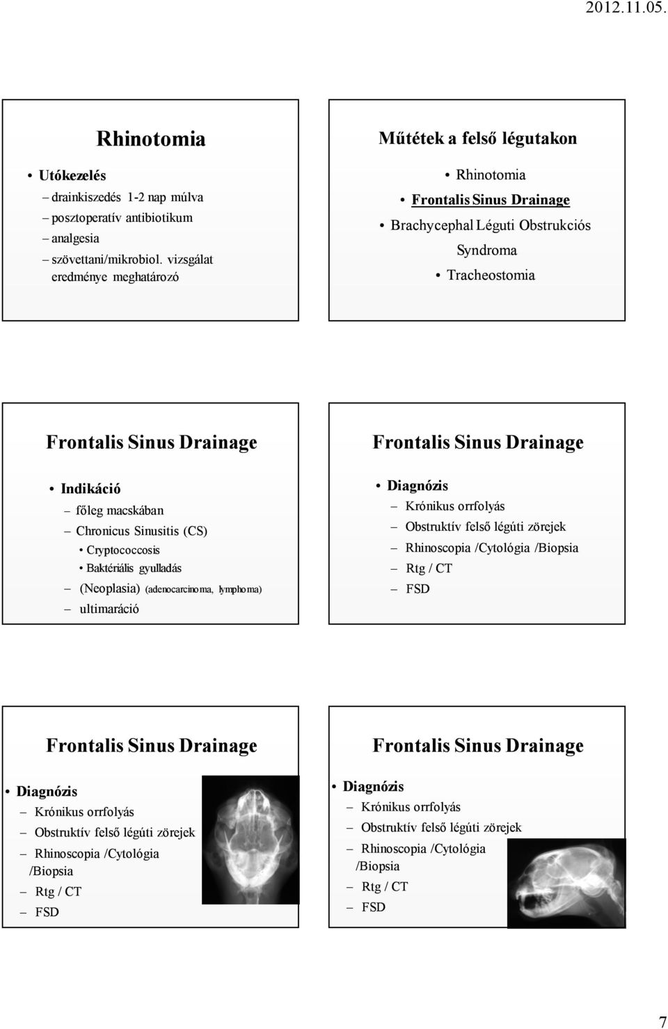 Chronicus Sinusitis (CS) Cryptococcosis Baktériális gyulladás (Neoplasia) (adenocarcinoma, lymphoma) ultimaráció Frontalis Sinus Drainage Krónikus orrfolyás Obstruktív felső légúti zörejek