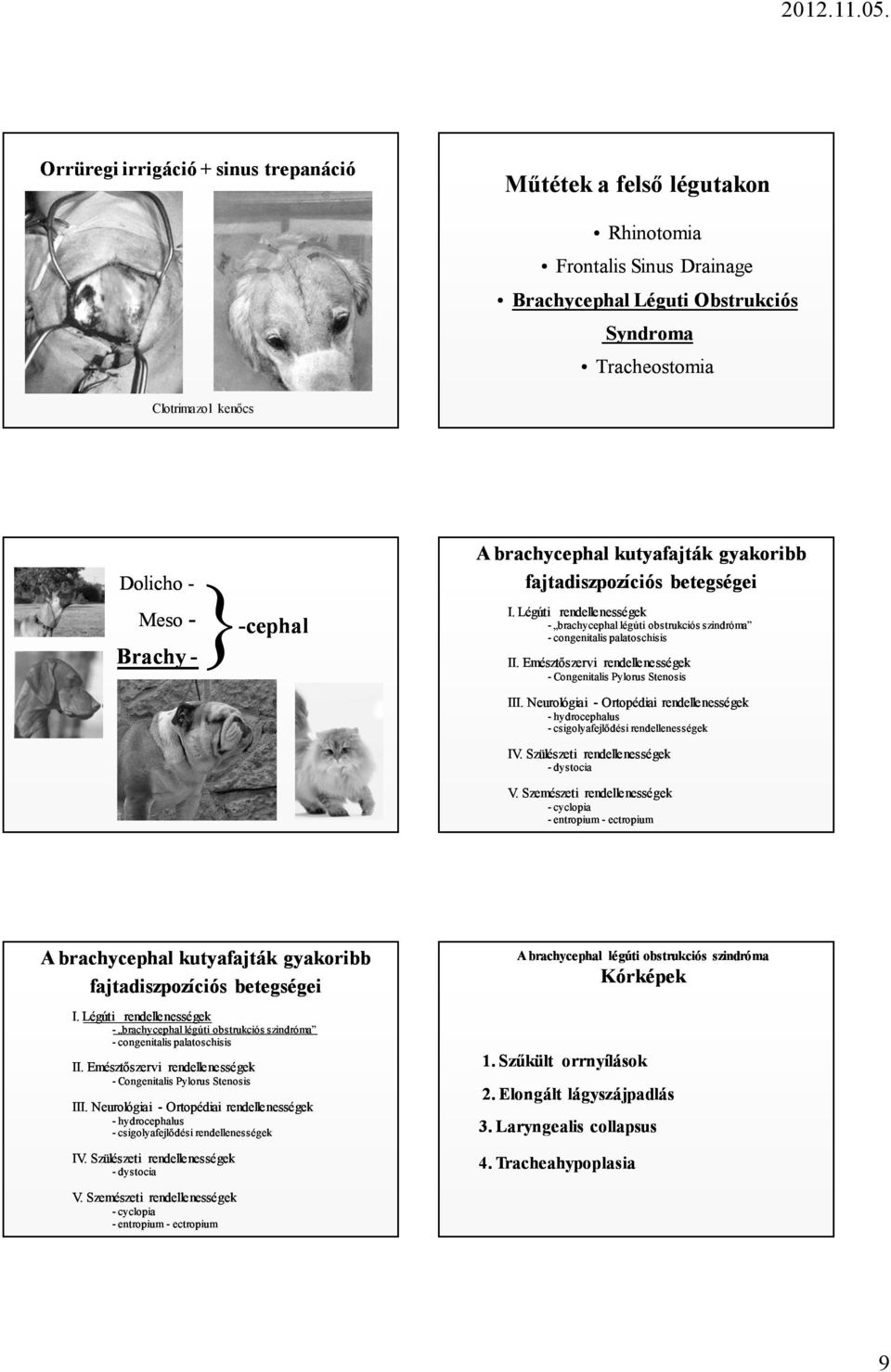 Emésztőszervi rendellenességek - Congenitalis Pylorus Stenosis III. Neurológiai - Ortopédiai rendellenességek - hydrocephalus - csigolyafejlődési rendellenességek IV.