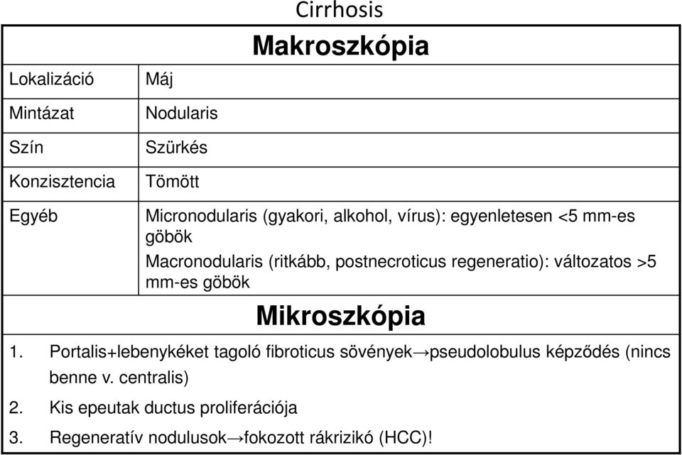 változatos >5 mm-es göbök Mikroszkópia 1.