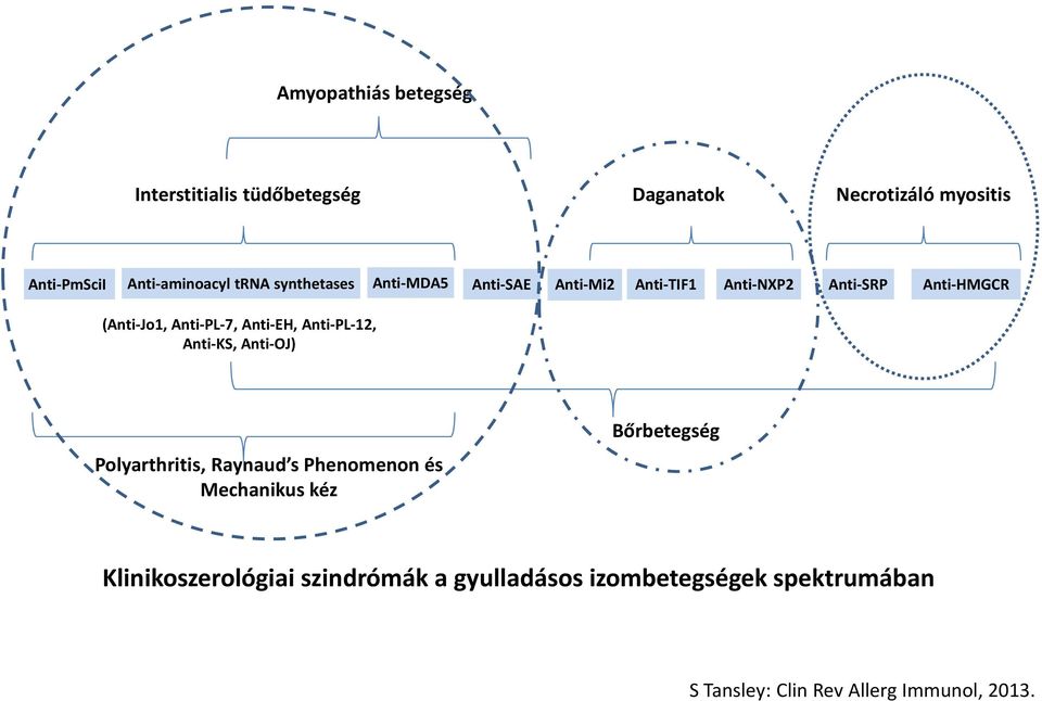 Anti EH, Anti PL 12, Anti KS, Anti OJ) Polyarthritis, Raynaud s Phenomenon és Mechanikus kéz Bőrbetegség