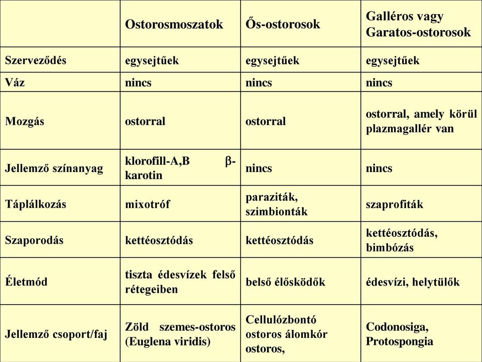 kettéosztódás ostorral, amely körül plazmagallér van nincs szaprofiták kettéosztódás, bimbózás Életmód tiszta édesvízek felső rétegeiben