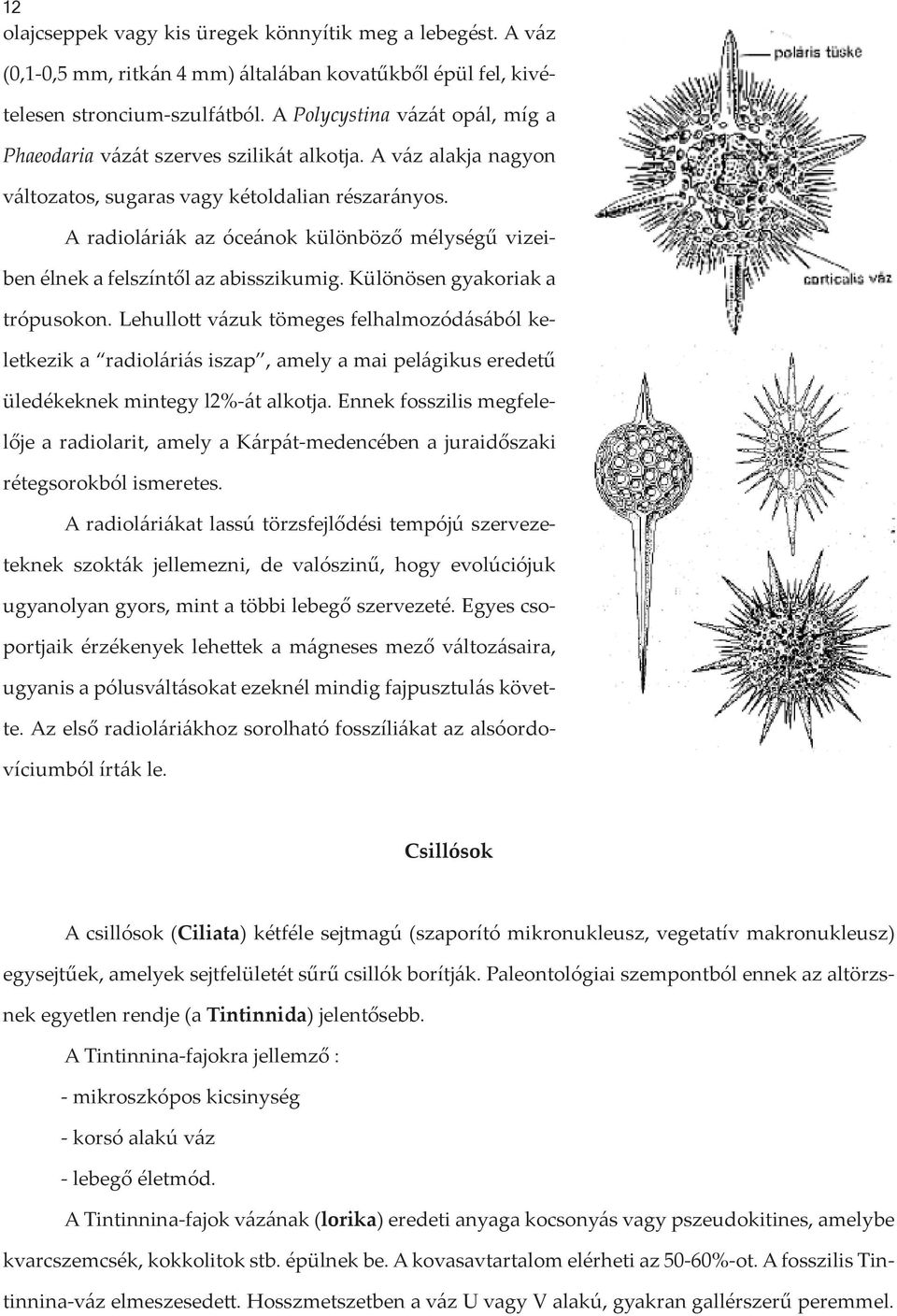 A radioláriák az óceánok különböző mélységű vizeiben élnek a felszíntől az abisszikumig. Különösen gyakoriak a trópusokon.