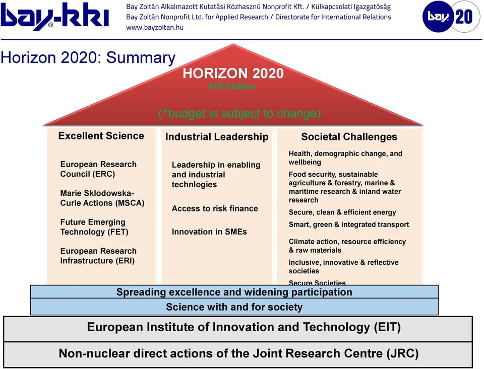 Emerging Technology (FET) European Research Infrastructure (ERI) Leadership in enabling and industrial technlogies Access to risk finance Innovation in SMEs Health, demographic change, and wellbeing