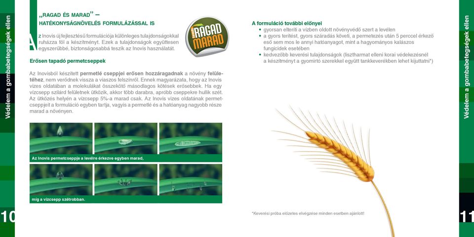 Erősen tapadó permetcseppek Az Inovisból készített permetlé cseppjei erősen hozzáragadnak a növény felületéhez, nem verődnek vissza a viaszos felszínről.