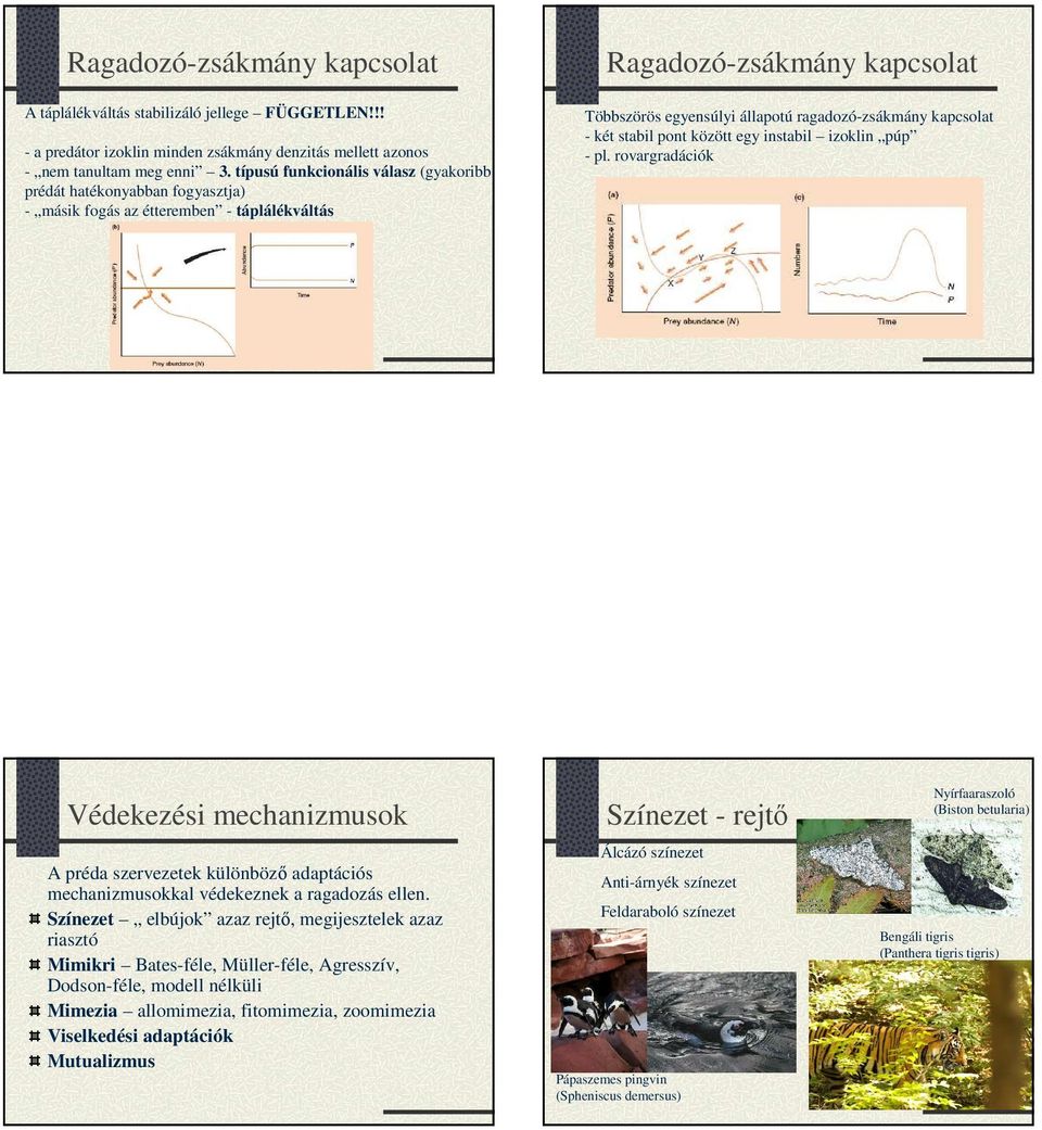 kapcsolat - két stabil pont között egy instabil izoklin púp - pl. rovargradációk Védekezési mechanizmusok A préda szervezetek különböző adaptációs mechanizmusokkal védekeznek a ragadozás ellen.
