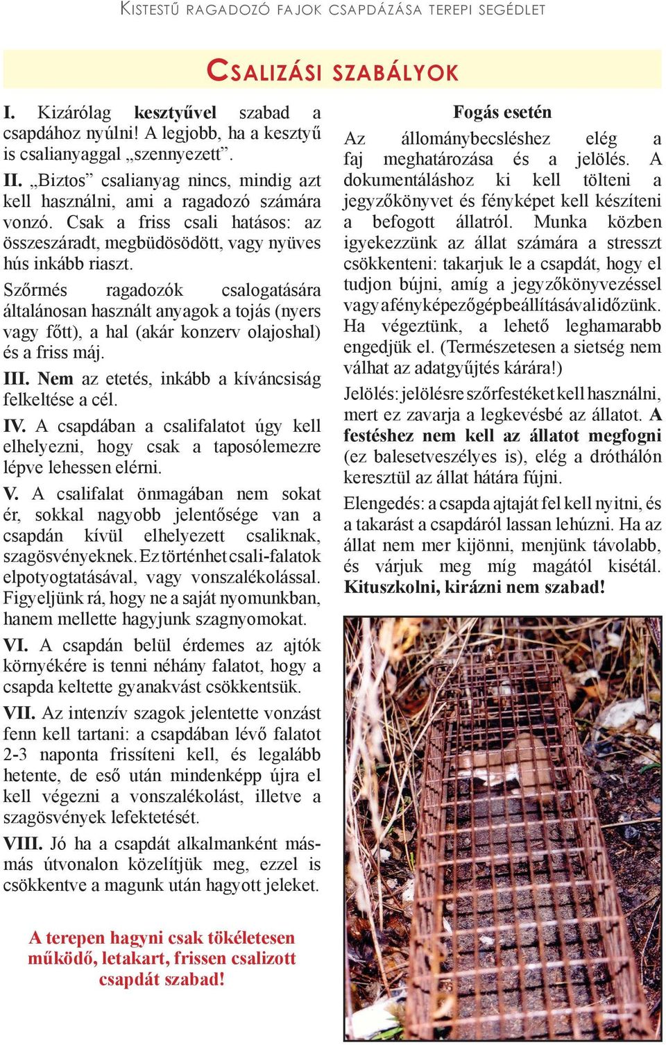 Szőrmés ragadozók csalogatására általánosan használt anyagok a tojás (nyers vagy főtt), a hal (akár konzerv olajoshal) és a friss máj. III. Nem az etetés, inkább a kíváncsiság felkeltése a cél. IV.