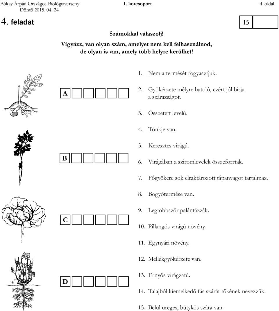 Gyökérzete mélyre hatoló, ezért jól bírja a szárazságot. 3. Összetett levelű. 4. Tönkje van. 5. Keresztes virágú. B 6. Virágában a sziromlevelek összeforrtak. 7.