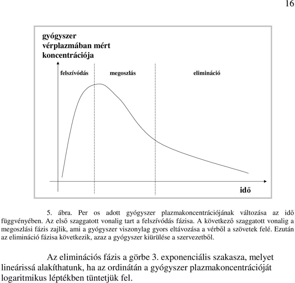 A következı szaggatott vonalig a megoszlási fázis zajlik, ami a gyógyszer viszonylag gyors eltávozása a vérbıl a szövetek felé.