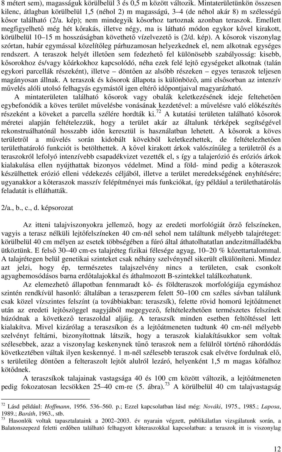 Emellett megfigyelhetı még hét kırakás, illetve négy, ma is látható módon egykor kıvel kirakott, körülbelül 10 15 m hosszúságban követhetı vízelvezetı is (2/d. kép).