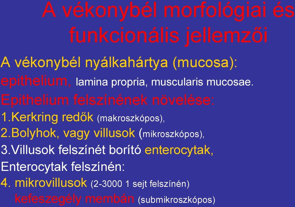 Kerkring redők (makroszkópos), 2.Bolyhok, vagy villusok (mikroszkópos), 3.