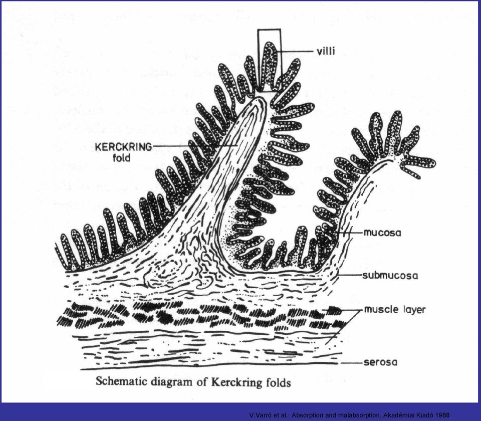 malabsorption,