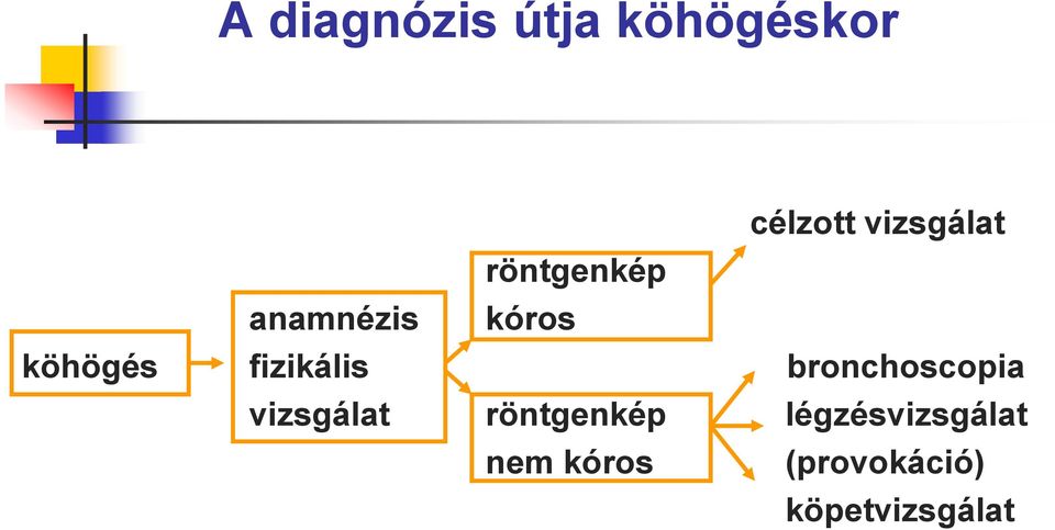 fizikális bronchoscopia vizsgálat röntgenkép