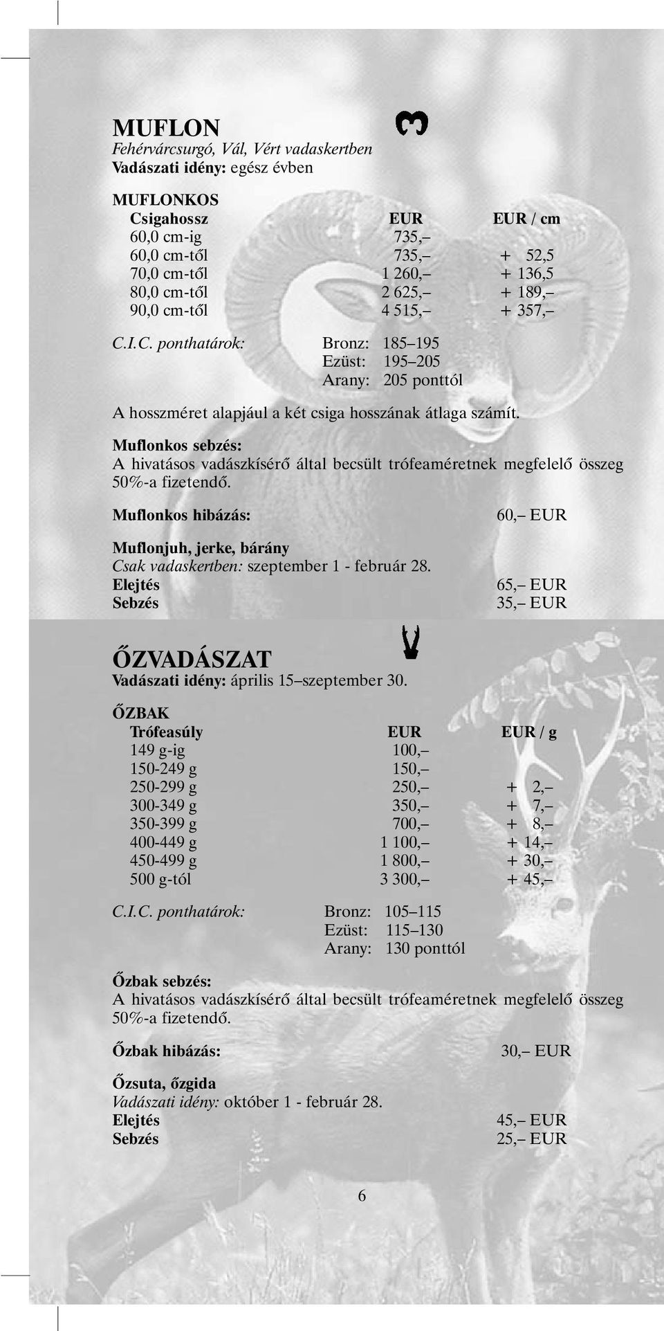 Muflonkos sebzés: A hivatásos vadászkísérõ által becsült trófeaméretnek megfelelõ összeg 50%-a fizetendõ. Muflonkos hibázás: Muflonjuh, jerke, bárány Csak vadaskertben: szeptember 1 - február 28.