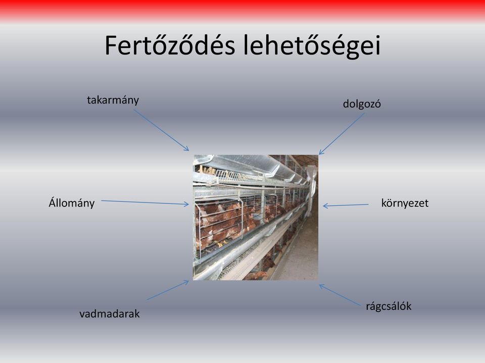 takarmány dolgozó