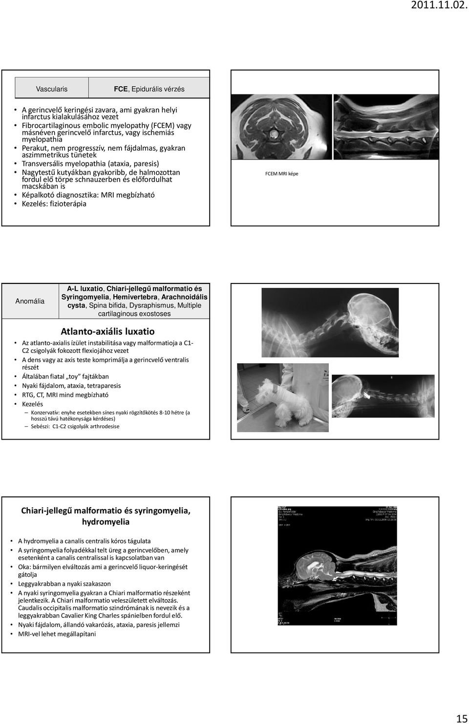 ischemiás myelopathia Perakut, nemprogresszív, nemfájdalmas, gyakran aszimmetrikus tünetek Transversális myelopathia(ataxia, paresis) Nagytestű kutyákban gyakoribb, de halmozottan fordul elő törpe