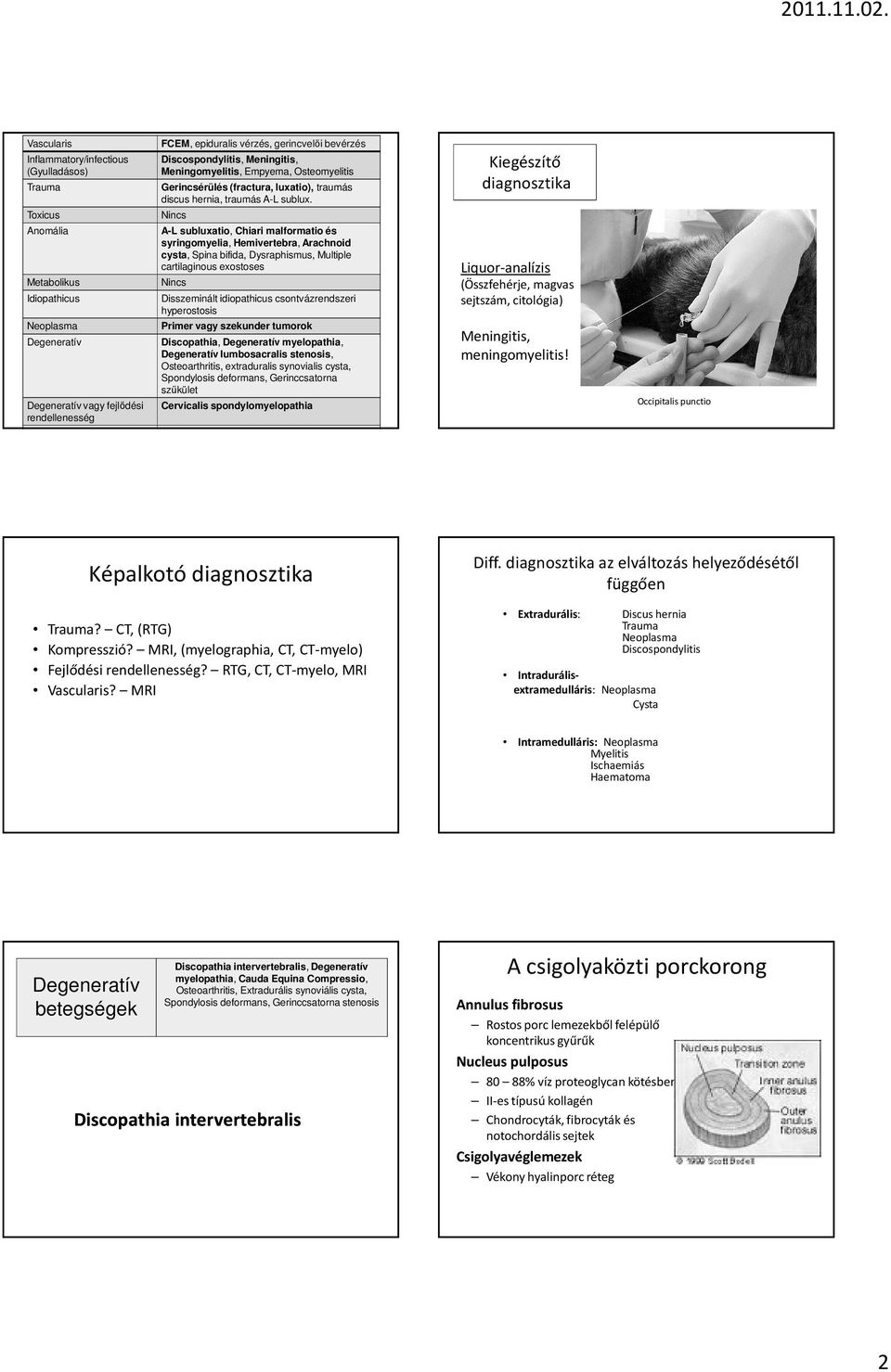 bevérzés Discospondylitis, Meningitis, Meningomyelitis, Empyema, Osteomyelitis Gerincsérülés (fractura, luxatio), traumás discus hernia, traumás A-L sublux.