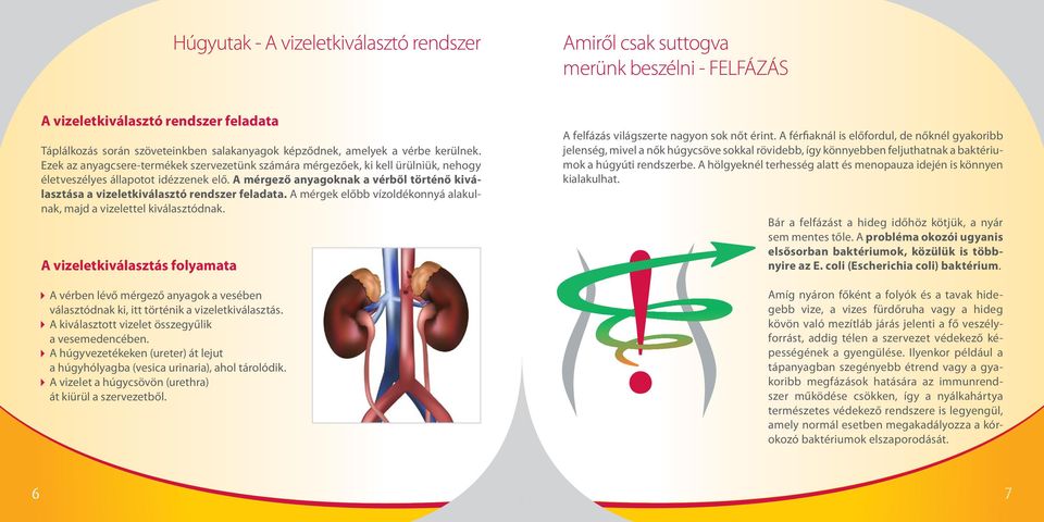 A mérgező anyagoknak a vérből történő kiválasztása a vizeletkiválasztó rendszer feladata. A mérgek előbb vízoldékonnyá alakulnak, majd a vizelettel kiválasztódnak.