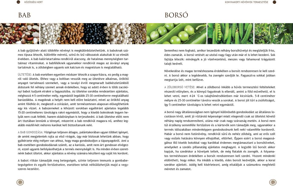 Kárpát-medencei gyógy- fűszer- és haszonnövények termesztése - PDF Ingyenes  letöltés