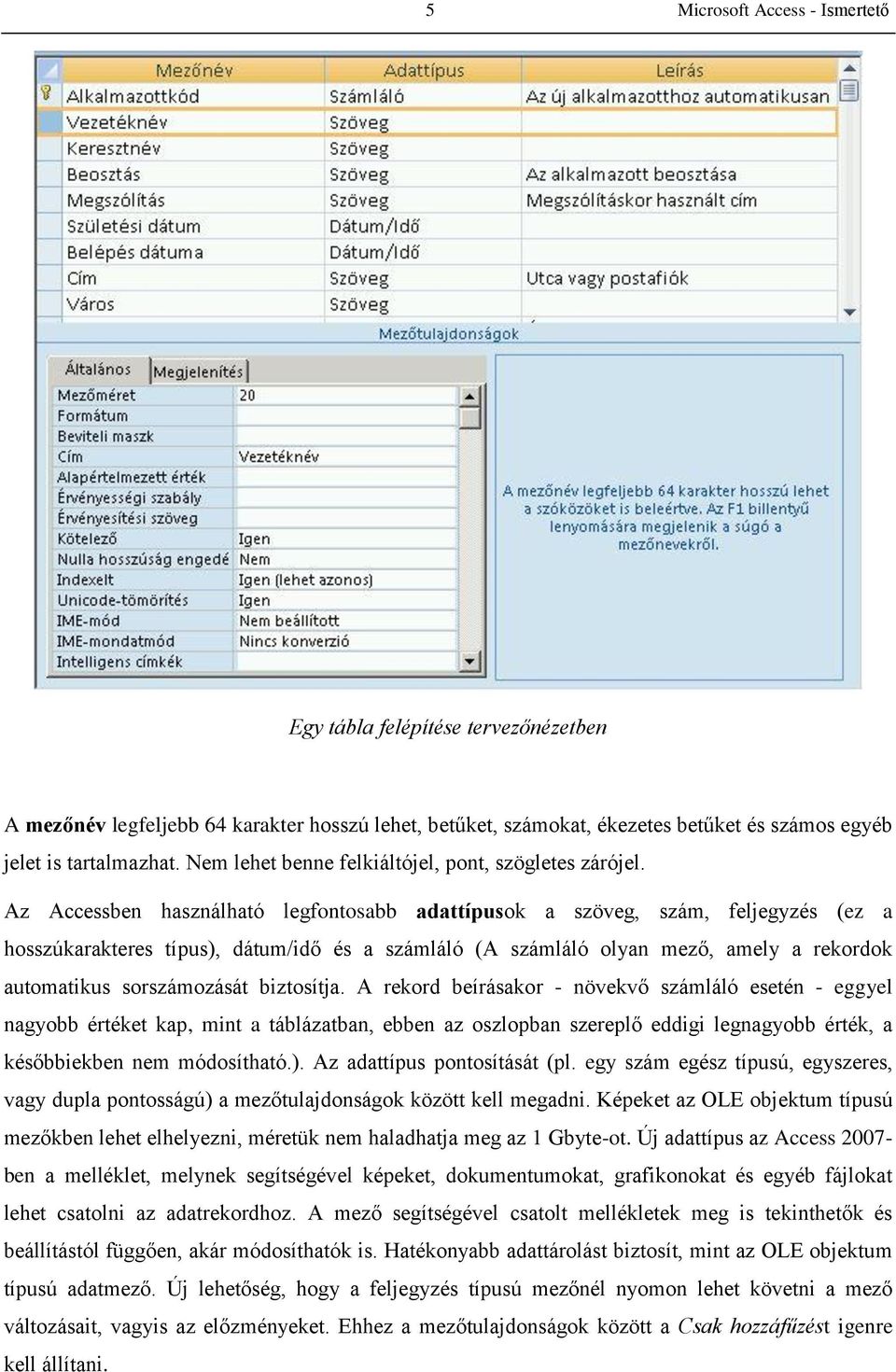 Az Accessben használható legfontosabb adattípusok a szöveg, szám, feljegyzés (ez a hosszúkarakteres típus), dátum/idő és a számláló (A számláló olyan mező, amely a rekordok automatikus sorszámozását