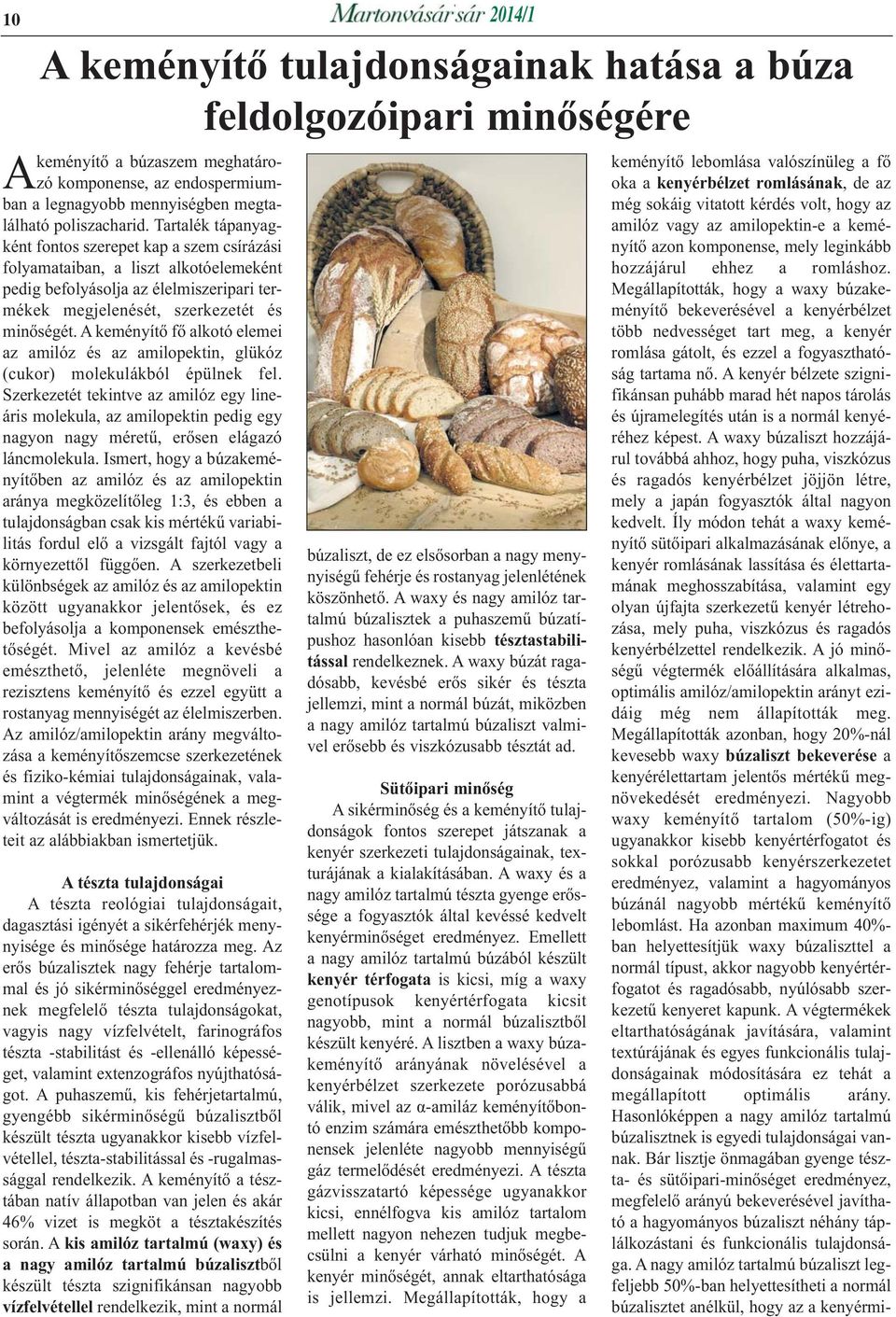 A keményítő fő alkotó elemei az amilóz és az amilopektin, glükóz (cukor) molekulákból épülnek fel.