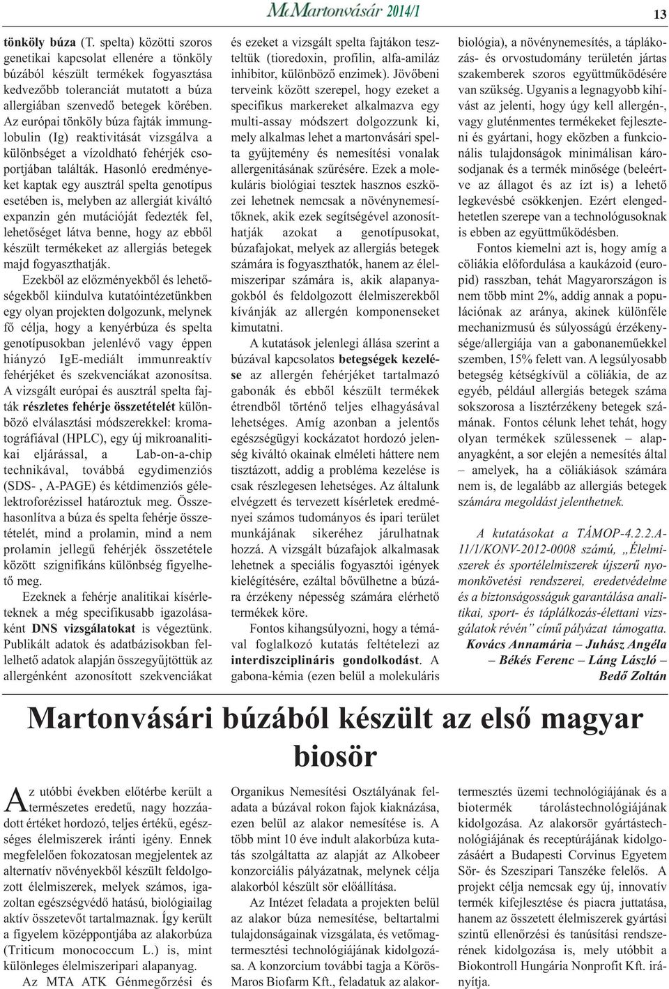 Az európai tönköly búza fajták immunglobulin (Ig) reaktivitását vizsgálva a különbséget a vízoldható fehérjék csoportjában találták.