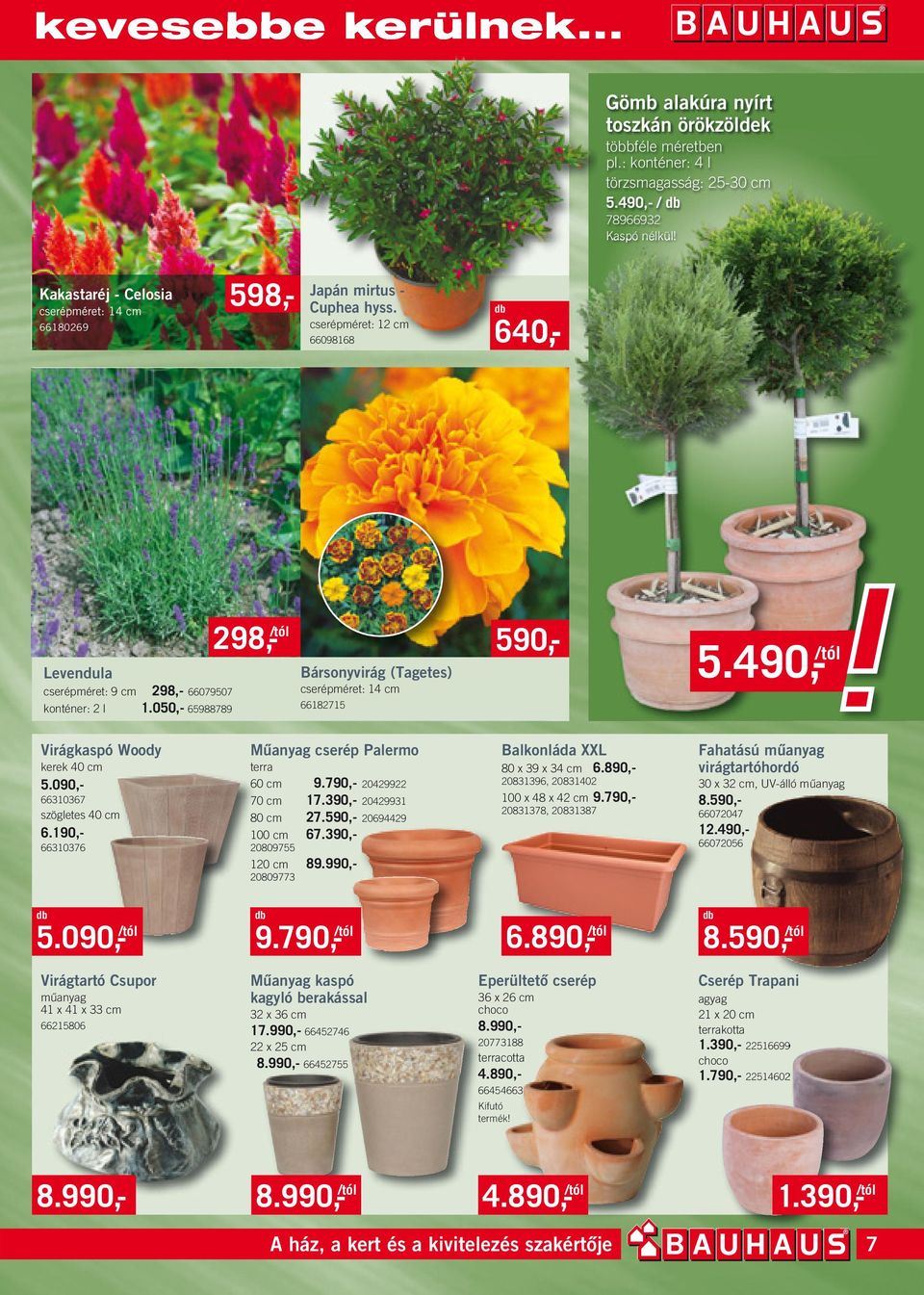 050,- 65988789 298,- /tól Bársonyvirág (Tagetes) cserépméret: 14 cm 66182715 590,- 5.490,- /tól Virágkaspó Woody kerek 40 cm 5.090,- 661067 szögletes 40 cm 6.