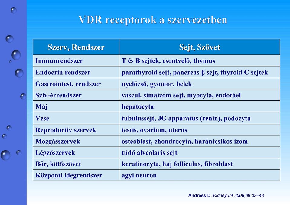simaizom sejt, myocyta, endothel Máj hepatocyta Vese tubulussejt, JG apparatus (renin), podocyta Reproductiv szervek testis, ovarium, uterus
