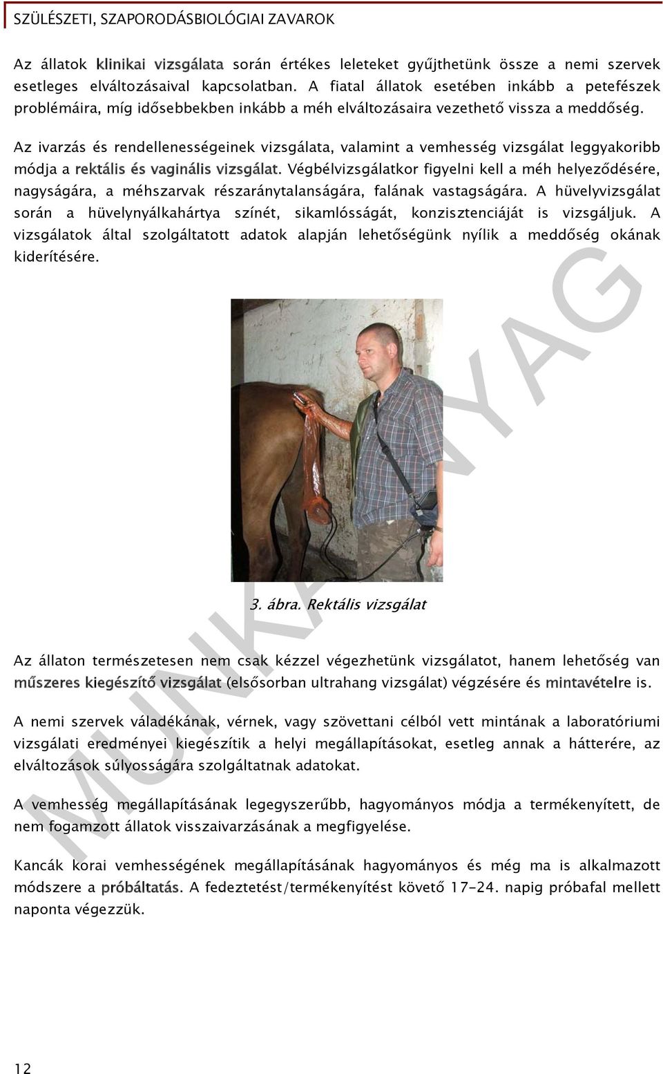 Az ivarzás és rendellenességeinek vizsgálata, valamint a vemhesség vizsgálat leggyakoribb módja a rektális és vaginális vizsgálat.
