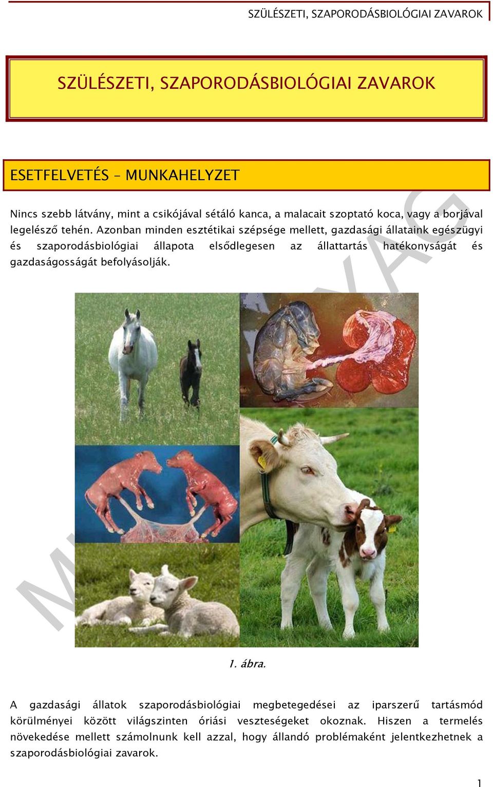 Azonban minden esztétikai szépsége mellett, gazdasági állataink egészügyi és szaporodásbiológiai állapota elsődlegesen az állattartás hatékonyságát és