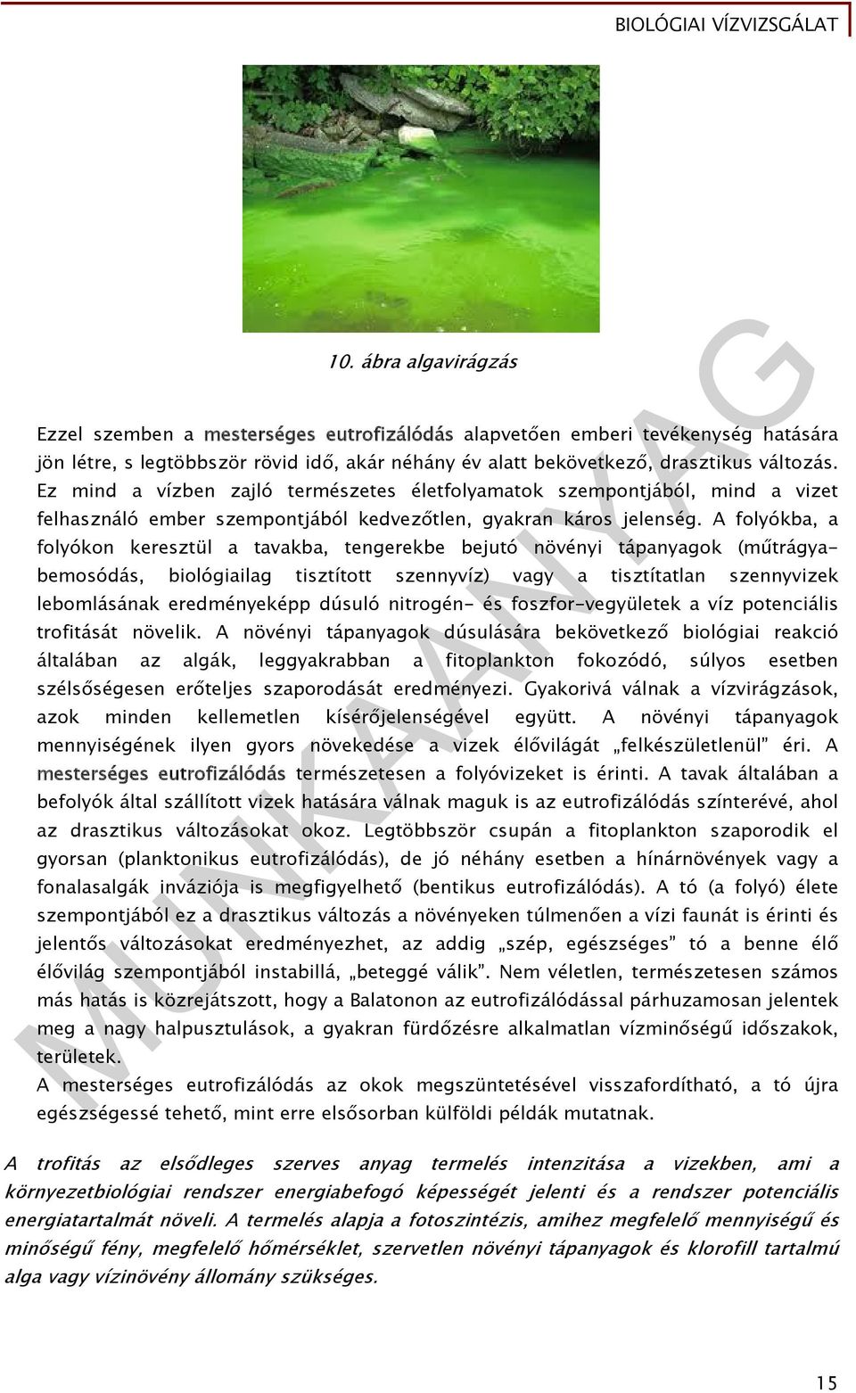 A folyókba, a folyókon keresztül a tavakba, tengerekbe bejutó növényi tápanyagok (műtrágyabemosódás, biológiailag tisztított szennyvíz) vagy a tisztítatlan szennyvizek lebomlásának eredményeképp