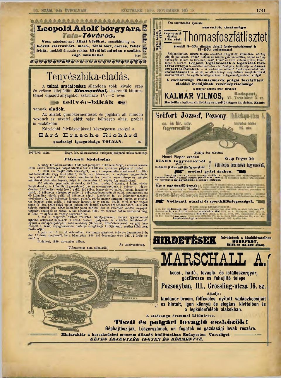 nagy pencek szép ében punci