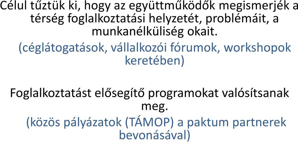 (céglátogatások, vállalkozói fórumok, workshopok keretében)