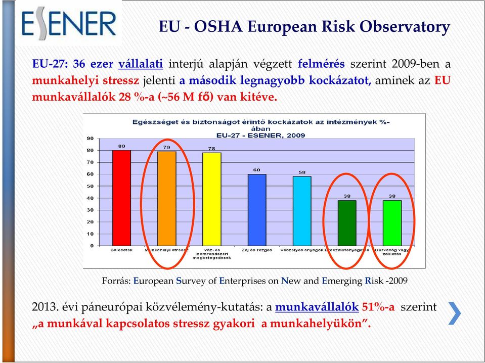 (~56 M fı) van kitéve. Forrás: European Survey of Enterprises on New and Emerging Risk -2009 2013.