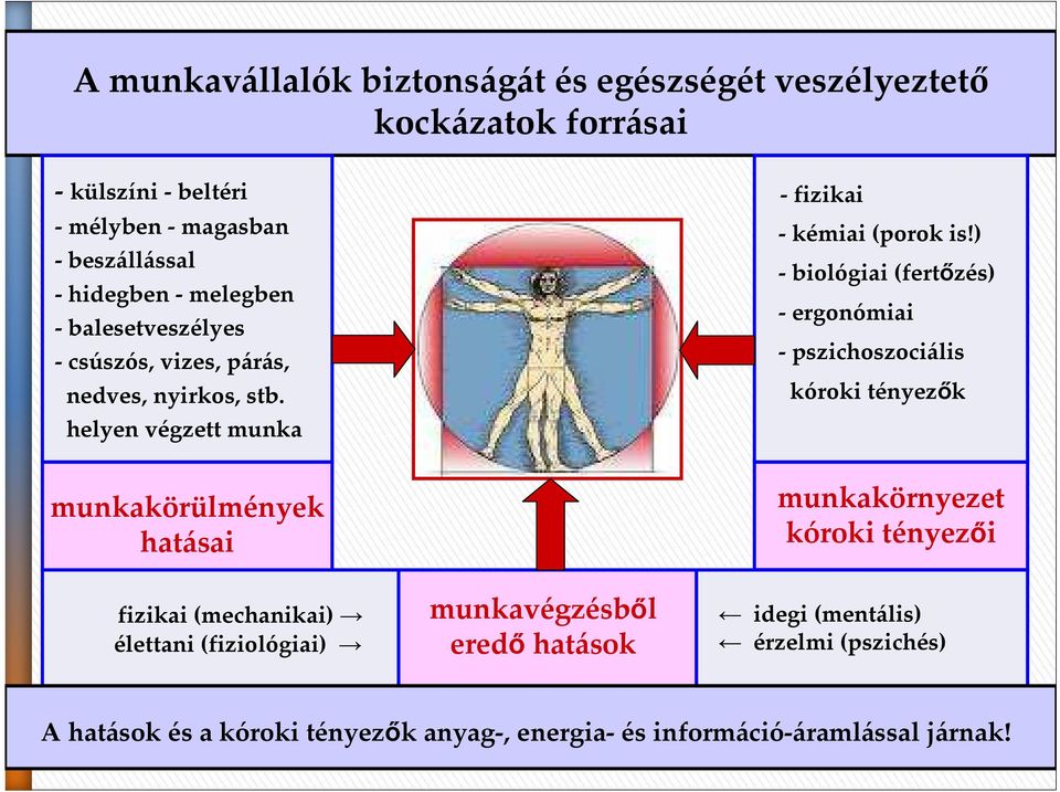 ) - biológiai (fertızés) - ergonómiai -pszichoszociális kóroki tényezık munkakörülmények hatásai fizikai (mechanikai) élettani (fiziológiai)