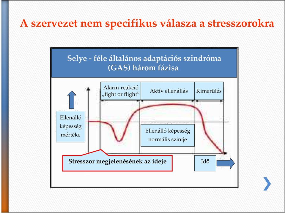fight or flight Aktív ellenállás Kimerülés Ellenálló képesség
